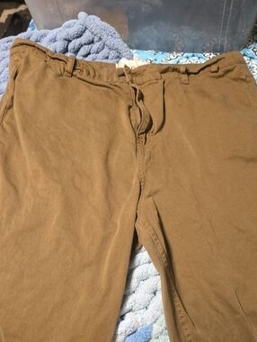BDG Men's Chino Pants in Olive